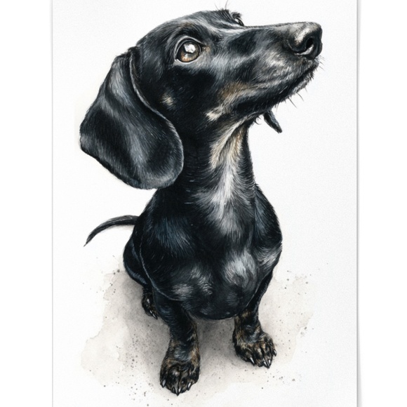 Watercolor Black Dachshund Dog Portrait Art Print – Unframed Fine Art Poster - Picture 2 of 5
